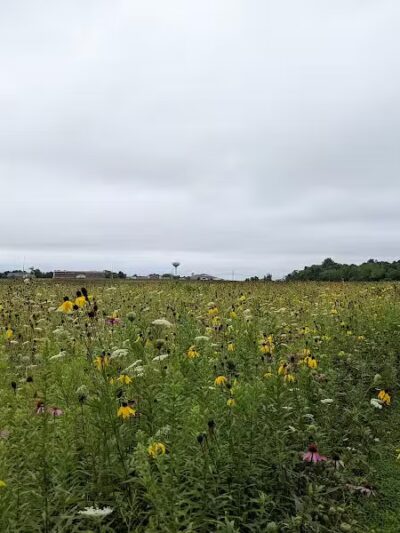 Wolf Run Regional Park - Mt Vernon, OH
