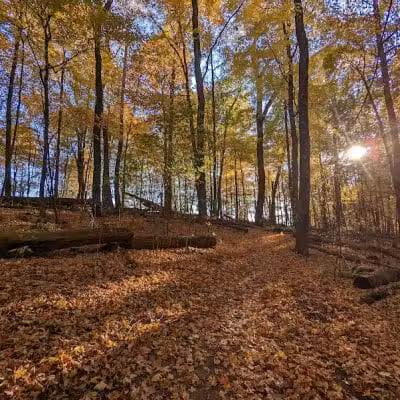 Wolf Run Regional Park - Mt Vernon, OH