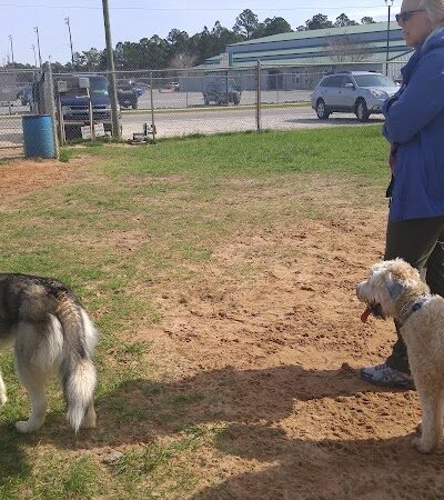 Navarre Central Bark - Navarre, FL