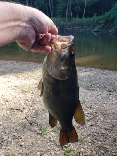 Craig Pittman Memorial Park - Navarre, OH