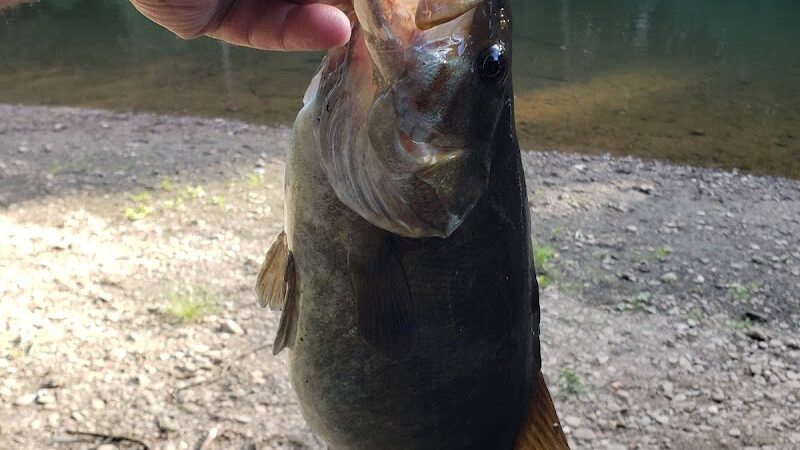 Craig Pittman Memorial Park - Navarre, OH