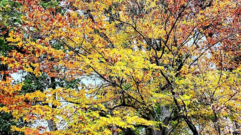 Craig Pittman Memorial Park - Navarre, OH