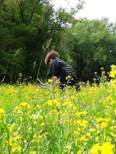 Craig Pittman Memorial Park - Navarre, OH