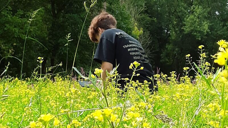 Craig Pittman Memorial Park - Navarre, OH