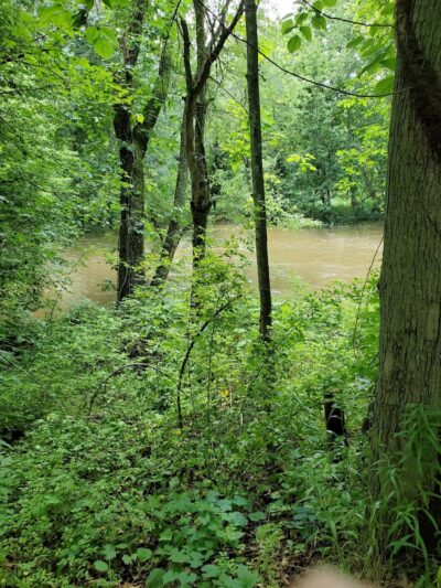 Craig Pittman Memorial Park - Navarre, OH