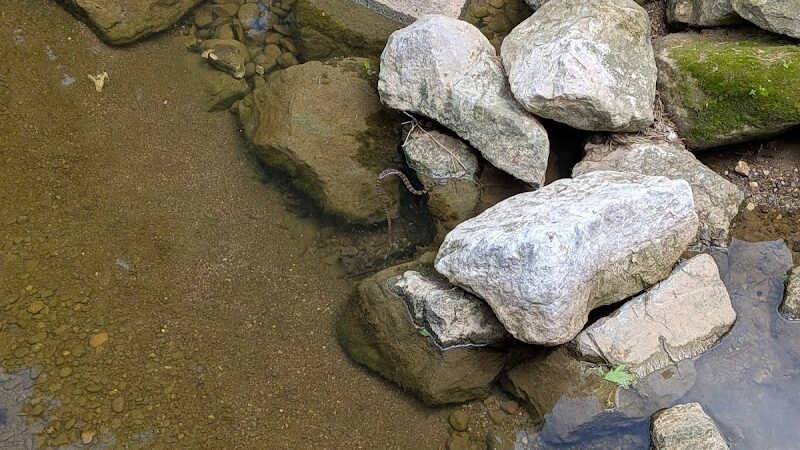 Craig Pittman Memorial Park - Navarre, OH