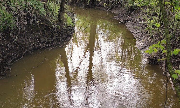 Towpath Trail-John Glenn Grove Trailhead - Navarre, OH