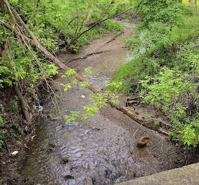 Towpath Trail-John Glenn Grove Trailhead - Navarre, OH