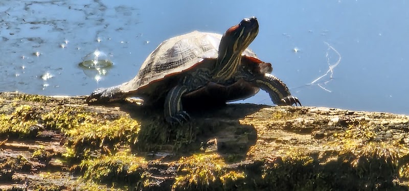 Towpath Trail-John Glenn Grove Trailhead - Navarre, OH
