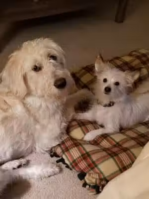 Blueberry Hill - Nelsonville, OH