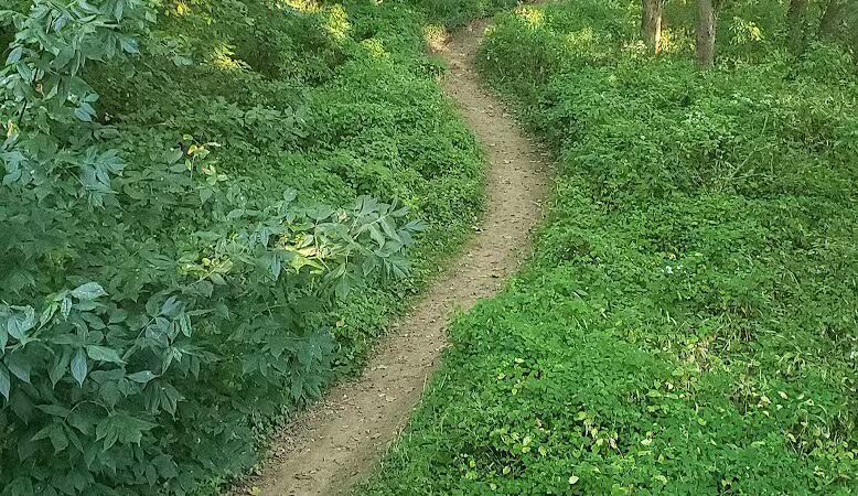 Hocking Adena Bikeway Trailhead - Nelsonville, OH