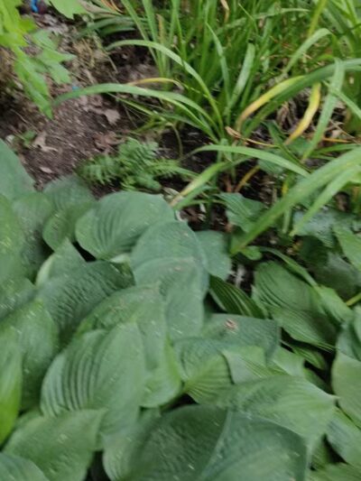 Monday Creek Trailhead - Nelsonville, OH