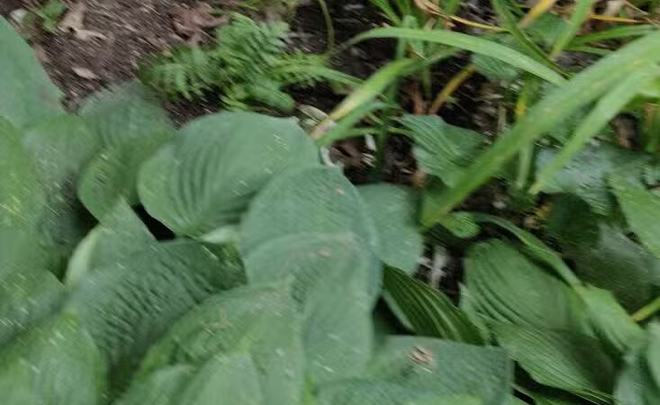 Monday Creek Trailhead - Nelsonville, OH