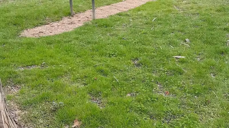 Polley Field [Nelsonville Park] - Nelsonville, OH