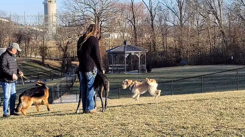 New Albany Dog Park - New Albany, IN