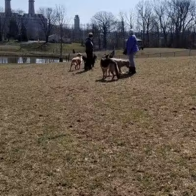 New Albany Dog Park - New Albany, IN