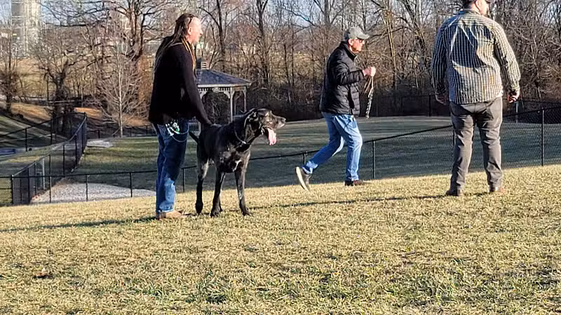 New Albany Dog Park - New Albany, IN
