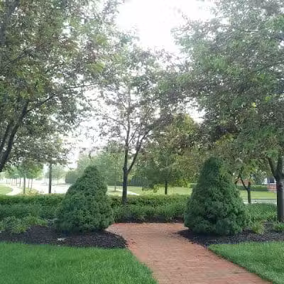 Chelsea Green Park - New Albany, OH