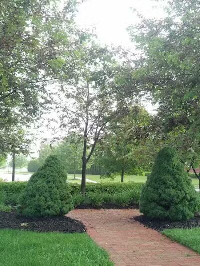 Chelsea Green Park - New Albany, OH