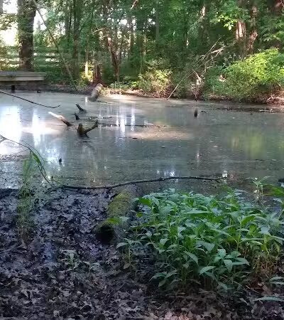New Albany Nature Preserve and Wetlands - New Albany, OH