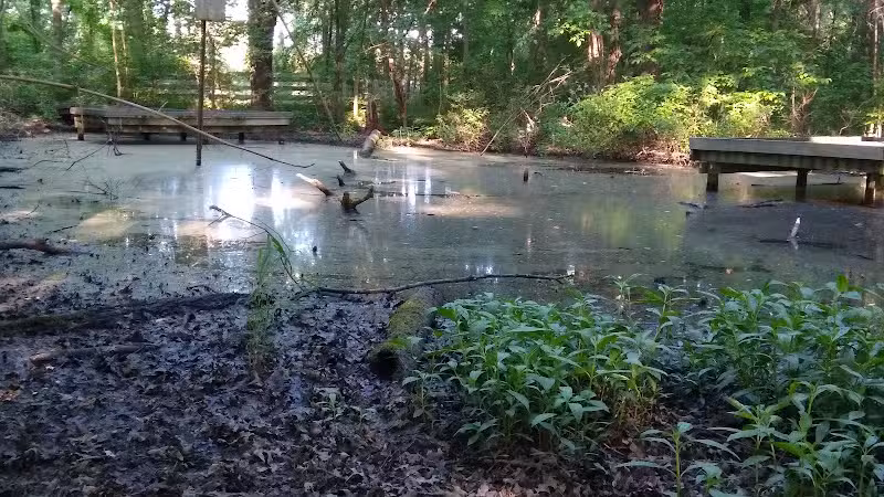 New Albany Nature Preserve and Wetlands - New Albany, OH