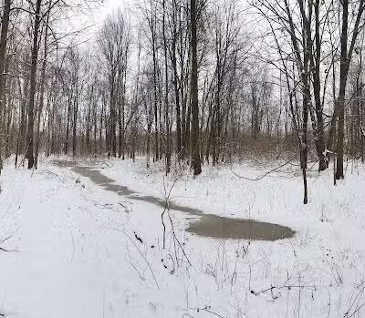 New Albany Nature Preserve and Wetlands - New Albany, OH