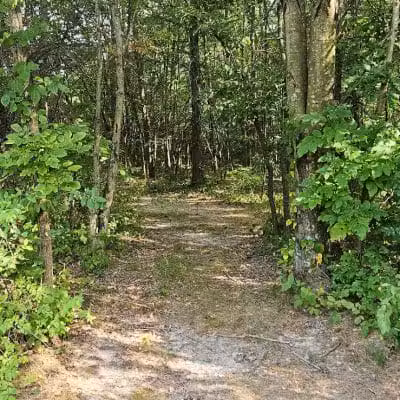 New Albany Nature Preserve and Wetlands - New Albany, OH