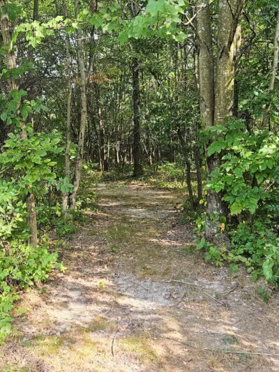 New Albany Nature Preserve and Wetlands - New Albany, OH