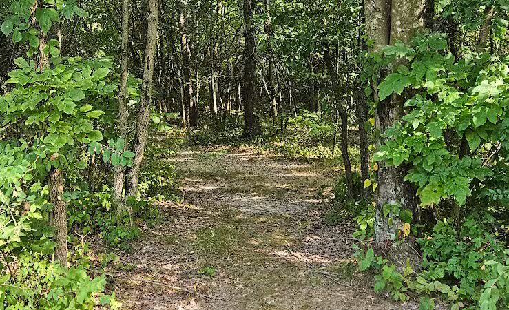 New Albany Nature Preserve and Wetlands - New Albany, OH
