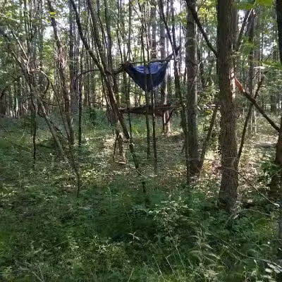 New Albany Nature Preserve and Wetlands - New Albany, OH