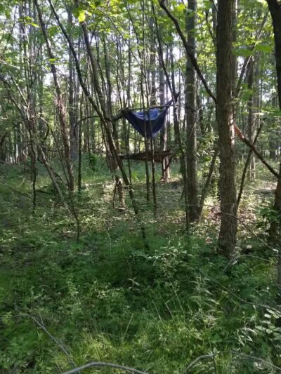 New Albany Nature Preserve and Wetlands - New Albany, OH