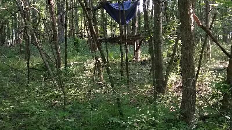 New Albany Nature Preserve and Wetlands - New Albany, OH