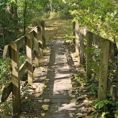 New Albany Nature Preserve and Wetlands - New Albany, OH