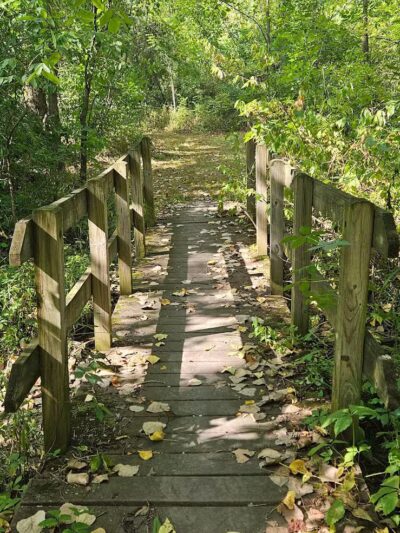 New Albany Nature Preserve and Wetlands - New Albany, OH