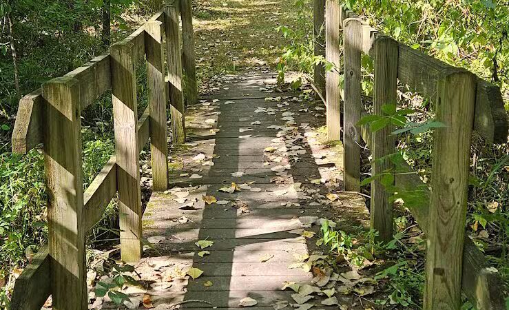 New Albany Nature Preserve and Wetlands - New Albany, OH
