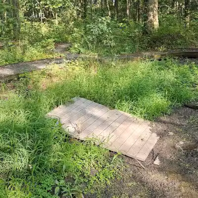 New Albany Nature Preserve and Wetlands - New Albany, OH
