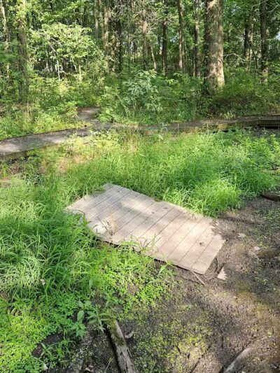 New Albany Nature Preserve and Wetlands - New Albany, OH