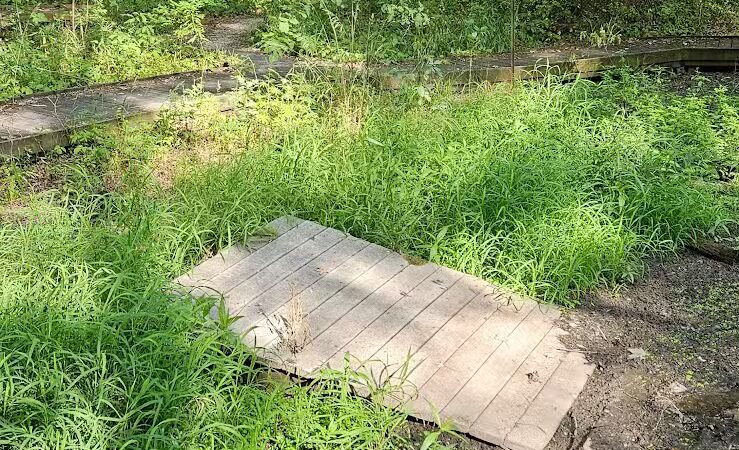 New Albany Nature Preserve and Wetlands - New Albany, OH