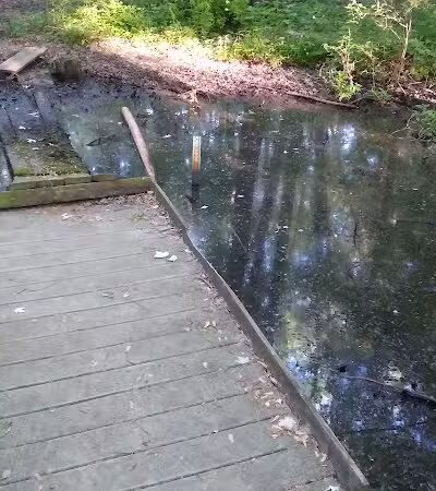 New Albany Nature Preserve and Wetlands - New Albany, OH
