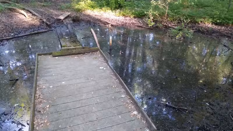 New Albany Nature Preserve and Wetlands - New Albany, OH