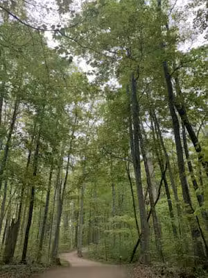 New Albany Parks & Recreation - New Albany, OH