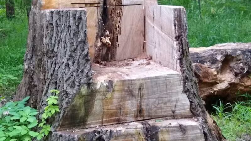 New Albany Schools Woodlands Wetlands - New Albany, OH