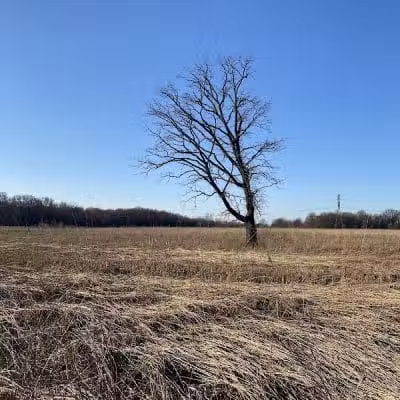 Rocky Fork Metro Park - New Albany, OH