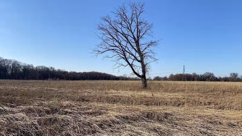 Rocky Fork Metro Park - New Albany, OH