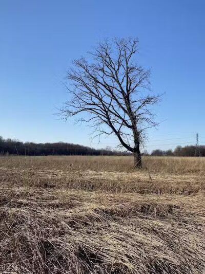 Rocky Fork Metro Park - New Albany, OH