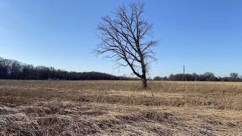 Rocky Fork Metro Park - New Albany, OH