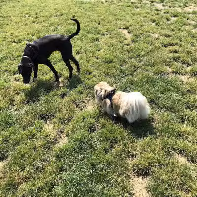 Rocky Fork Metro Park - New Albany, OH