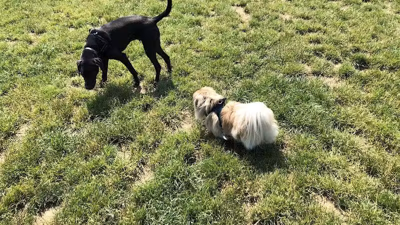 Rocky Fork Metro Park - New Albany, OH