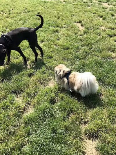 Rocky Fork Metro Park - New Albany, OH