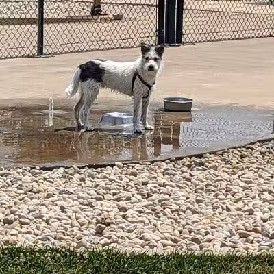 Rocky Fork Metro Park - New Albany, OH